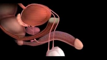 Сказать как им плевать на окружающих