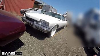 Видя плоды ее работы в открытом доступе